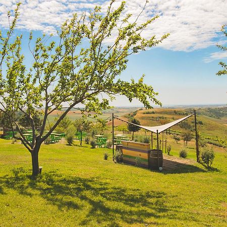 Villa Casale Poggio Nebbia Tarquinia Exterior foto