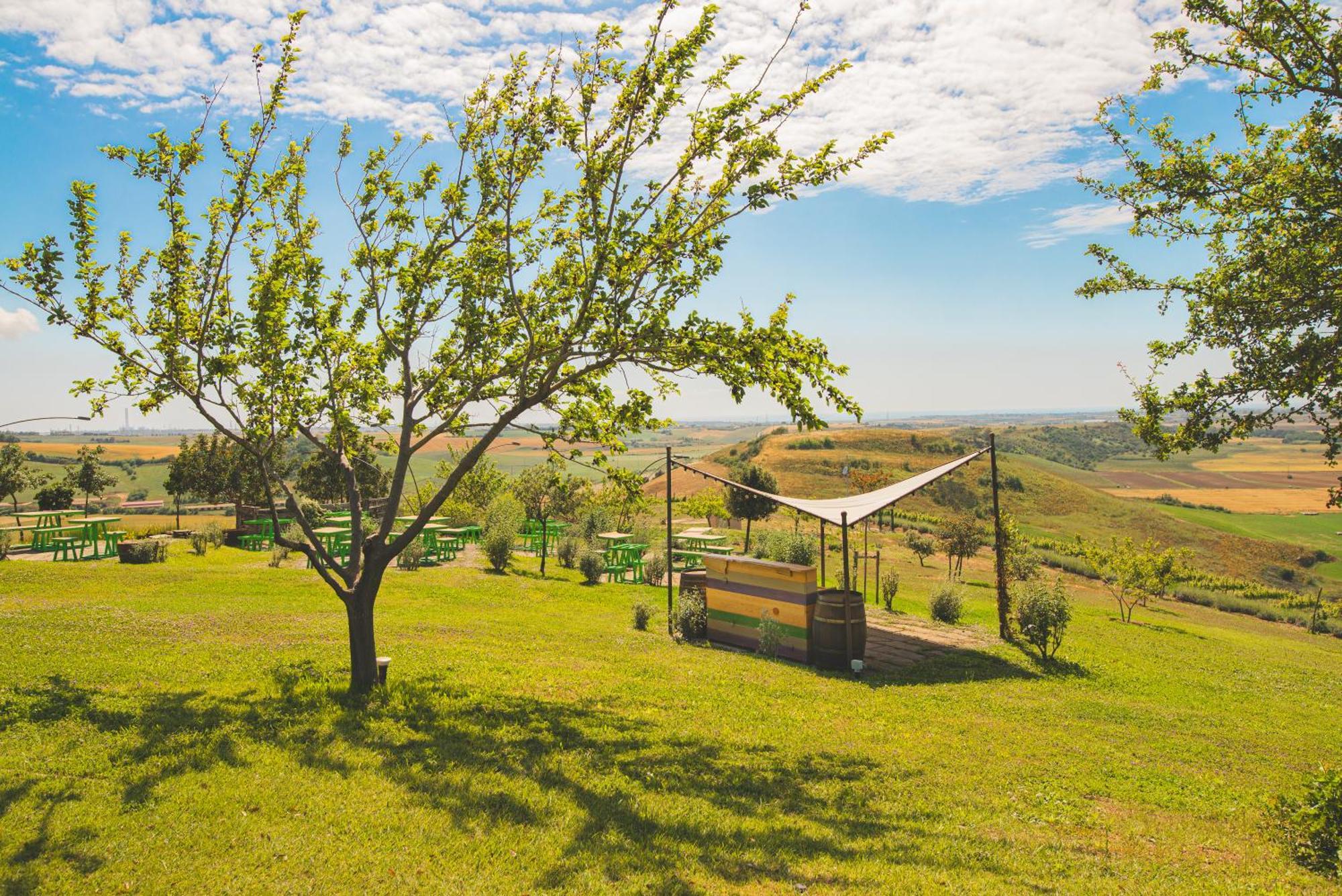 Villa Casale Poggio Nebbia Tarquinia Exterior foto