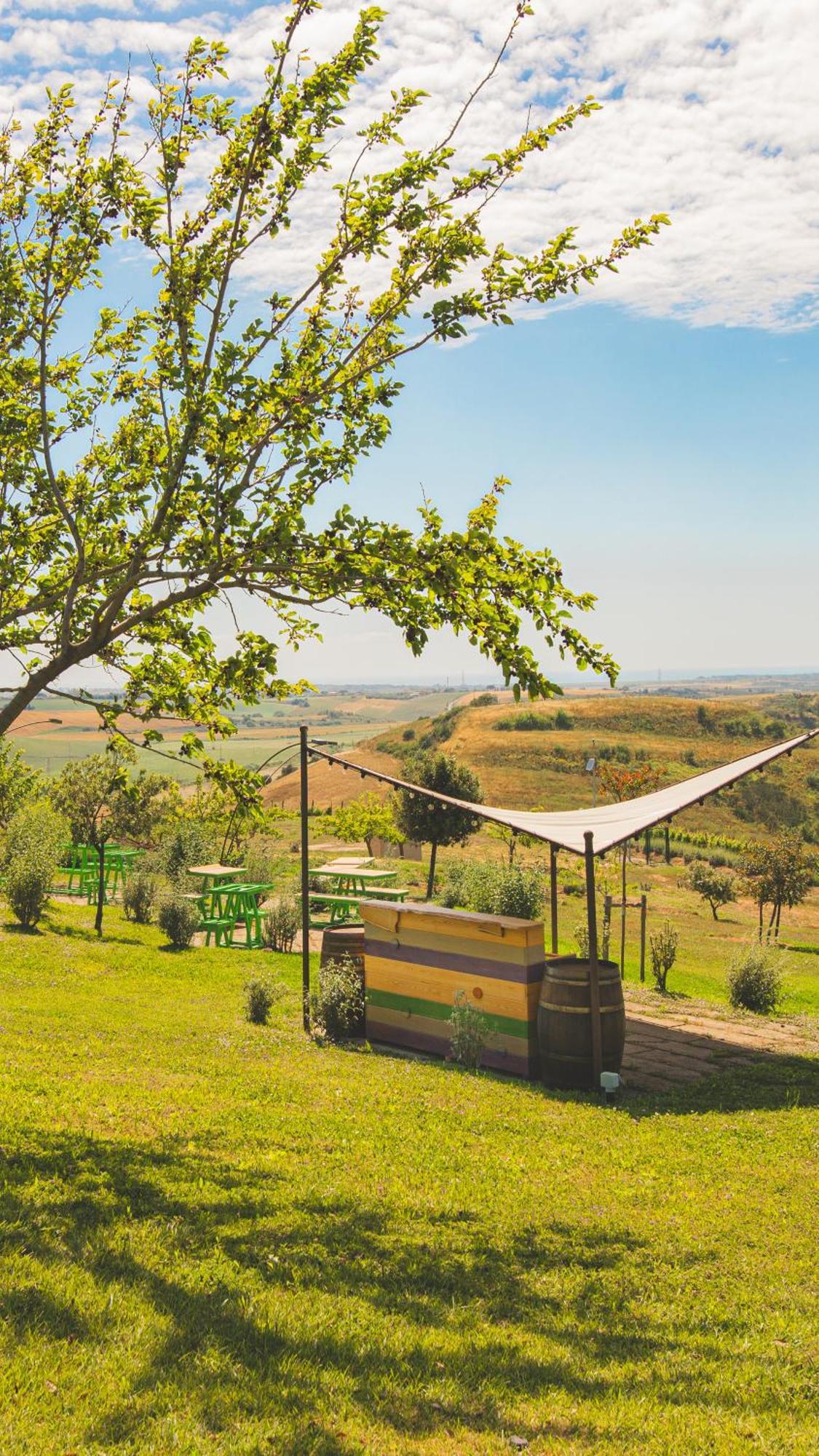Villa Casale Poggio Nebbia Tarquinia Exterior foto